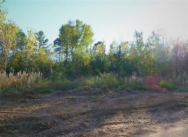 Photo 6 — 0 Butler Road, Haworth, OK 74740