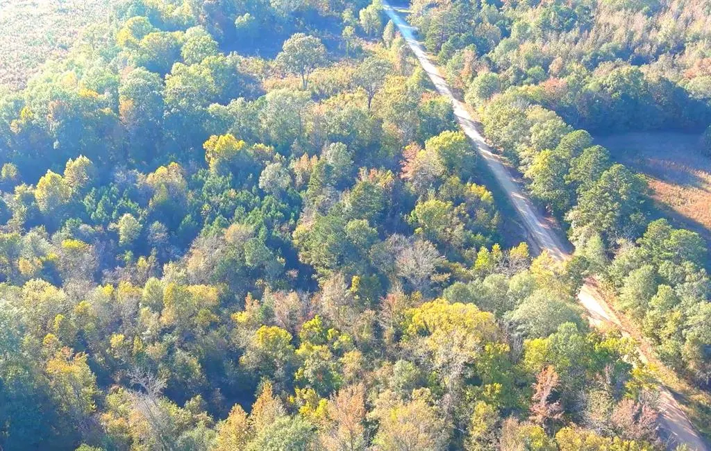 Photo 7 — 0 Butler Road, Haworth, OK 74740