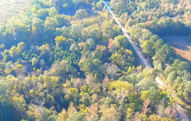 Photo 7 — 0 Butler Road, Haworth, OK 74740
