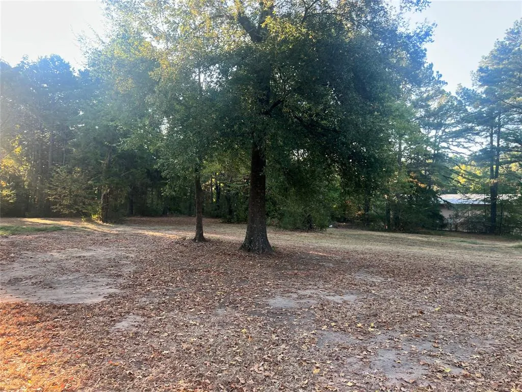 Photo 3 — 191 Lakeside Drive, Broken Bow, OK 74728