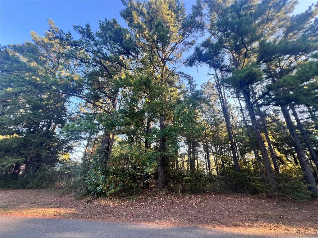 Photo 5 — 191 Lakeside Drive, Broken Bow, OK 74728