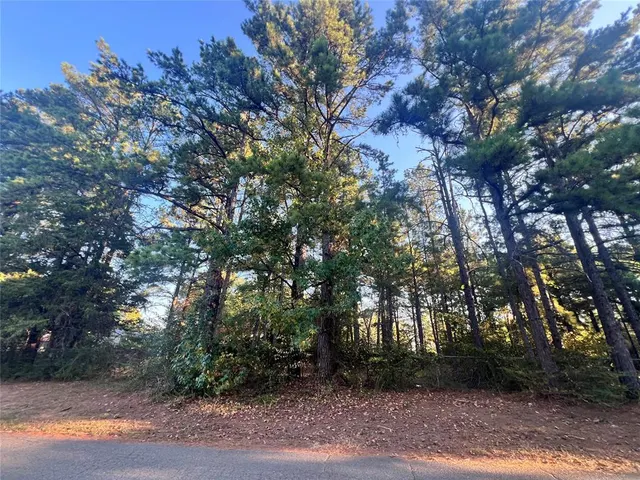 Photo 5 — 191 Lakeside Drive, Broken Bow, OK 74728