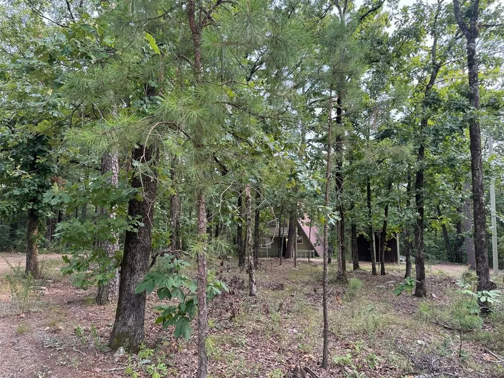 Photo 5 — 433804 E 1698 Road, Clayton, OK 74536