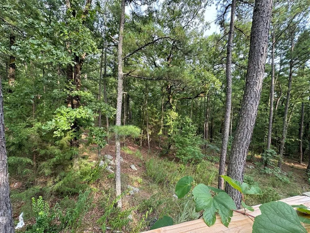 Photo 18 — 433804 E 1698 Road, Clayton, OK 74536