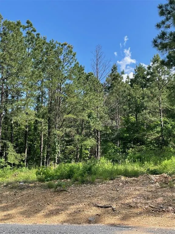 Photo 2 — 164 Timberline Trail, Broken Bow, OK 74728