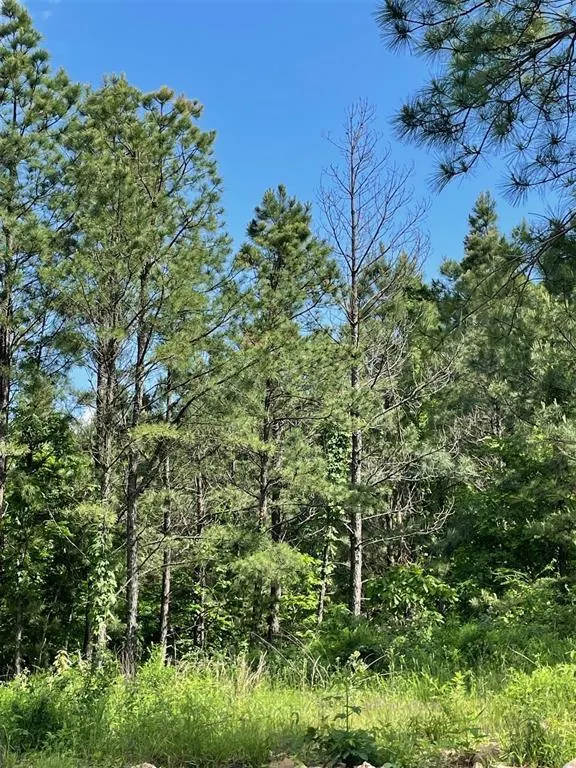 Photo 3 — 164 Timberline Trail, Broken Bow, OK 74728