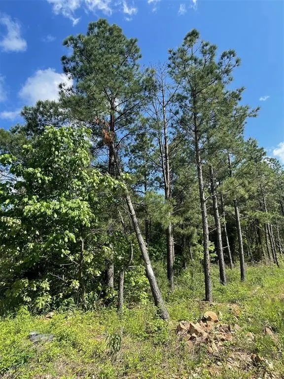 Photo 4 — 164 Timberline Trail, Broken Bow, OK 74728