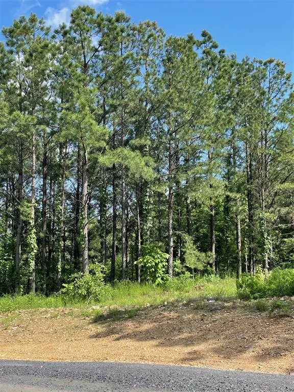 Photo 5 — 164 Timberline Trail, Broken Bow, OK 74728