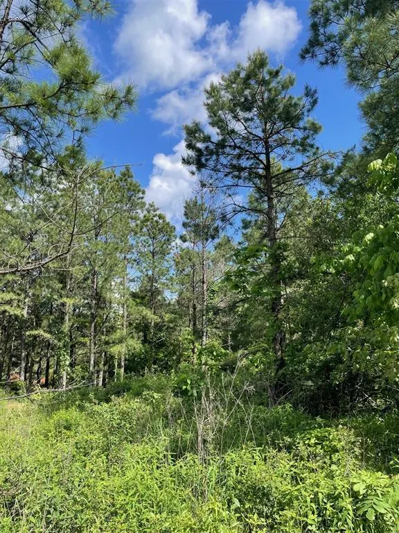 Photo 7 — 164 Timberline Trail, Broken Bow, OK 74728