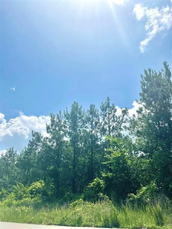 Photo 2 — 364 Sugarberry Trail, Broken Bow, OK 74728