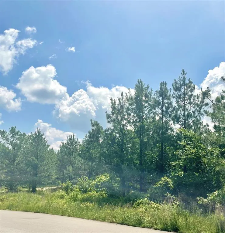 Photo 3 — 364 Sugarberry Trail, Broken Bow, OK 74728