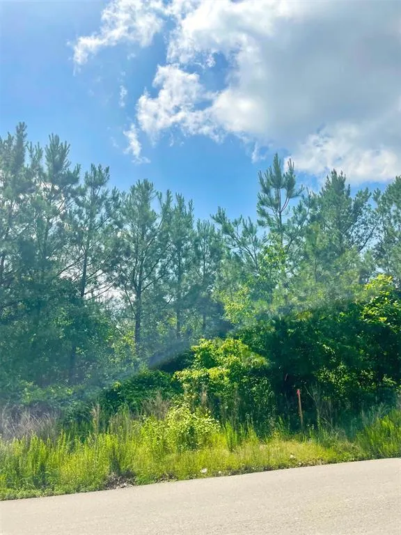Photo 6 — 364 Sugarberry Trail, Broken Bow, OK 74728