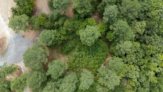 Photo 3 — 179 Coffee Tree Trail, Broken Bow, OK 74728