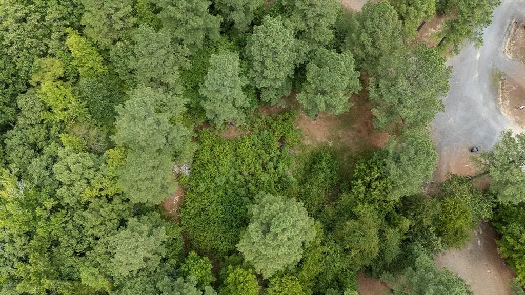 Photo 4 — 179 Coffee Tree Trail, Broken Bow, OK 74728