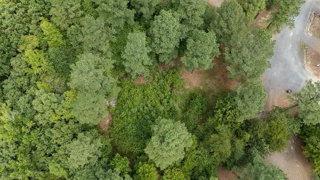 Photo 4 — 179 Coffee Tree Trail, Broken Bow, OK 74728