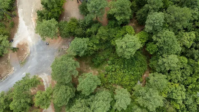 Photo 5 — 179 Coffee Tree Trail, Broken Bow, OK 74728