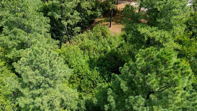 Photo 6 — 179 Coffee Tree Trail, Broken Bow, OK 74728