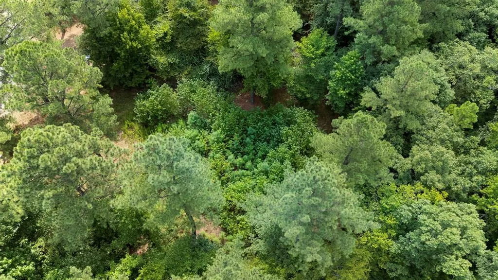Photo 7 — 179 Coffee Tree Trail, Broken Bow, OK 74728