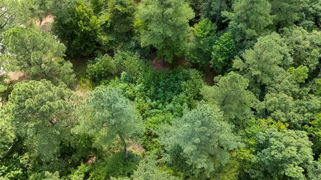 Photo 7 — 179 Coffee Tree Trail, Broken Bow, OK 74728