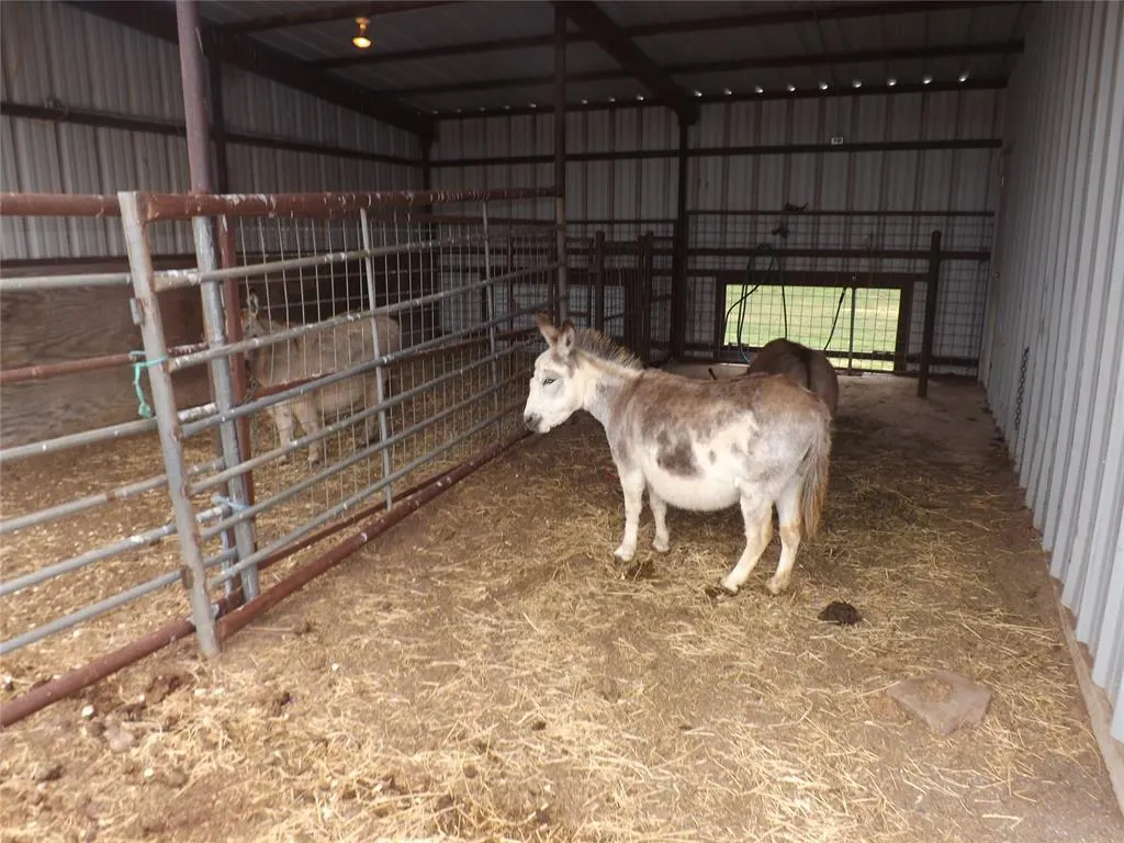 Photo 26 — 21259 E County Road 160 Road, Headrick, OK 73549
