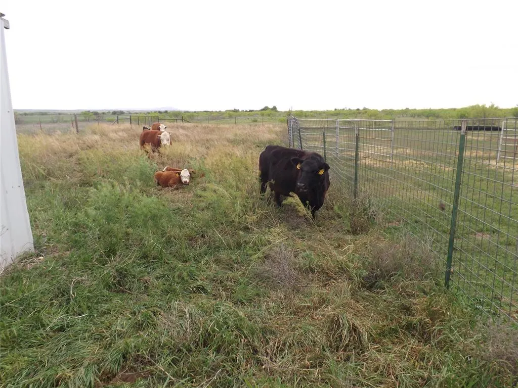 Photo 32 — 21259 E County Road 160 Road, Headrick, OK 73549