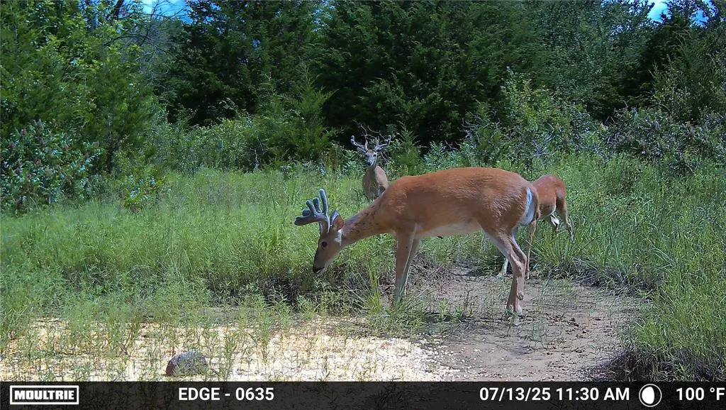 Photo 28 — 0001 S 310 Road, Morris, OK 74437