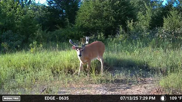 Photo 30 — 0001 S 310 Road, Morris, OK 74437