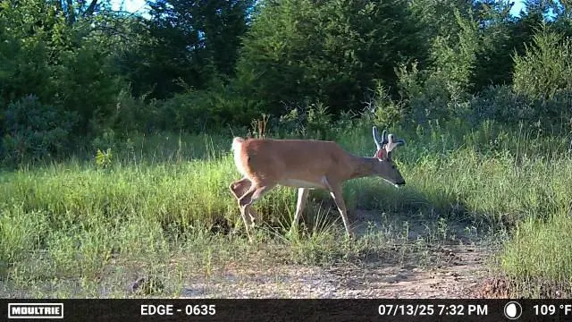 Photo 31 — 0001 S 310 Road, Morris, OK 74437