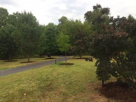 Photo 42 — 3648 Meadow Lane, Edmond, OK 73013