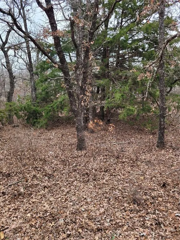 Photo 2 — N County Road 3049, Lindsay, OK 73052