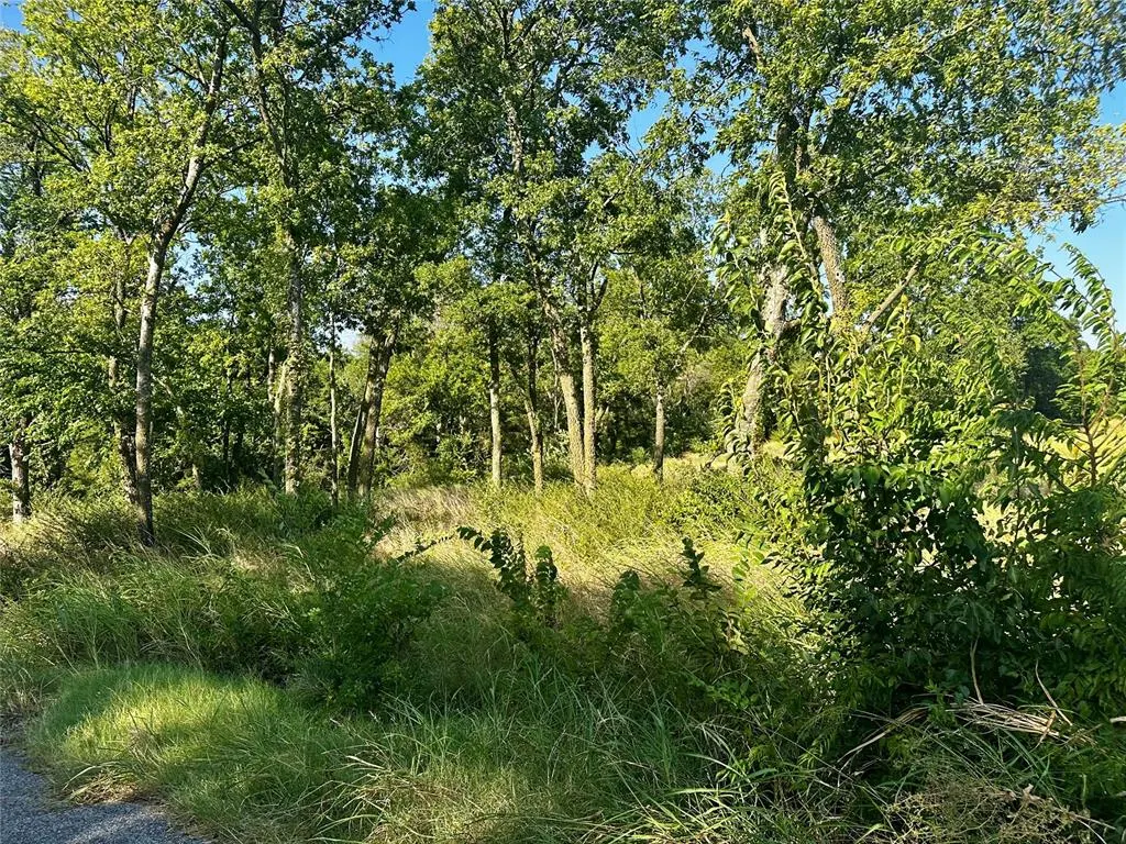 Photo 10 — Monica Lane, Goldsby, OK 73093