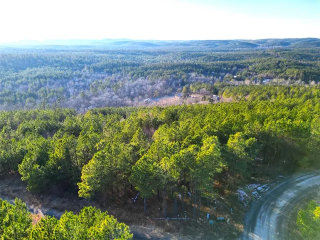 Photo 3 — 484 Lukfata Fork Trail, Broken Bow, OK 74728