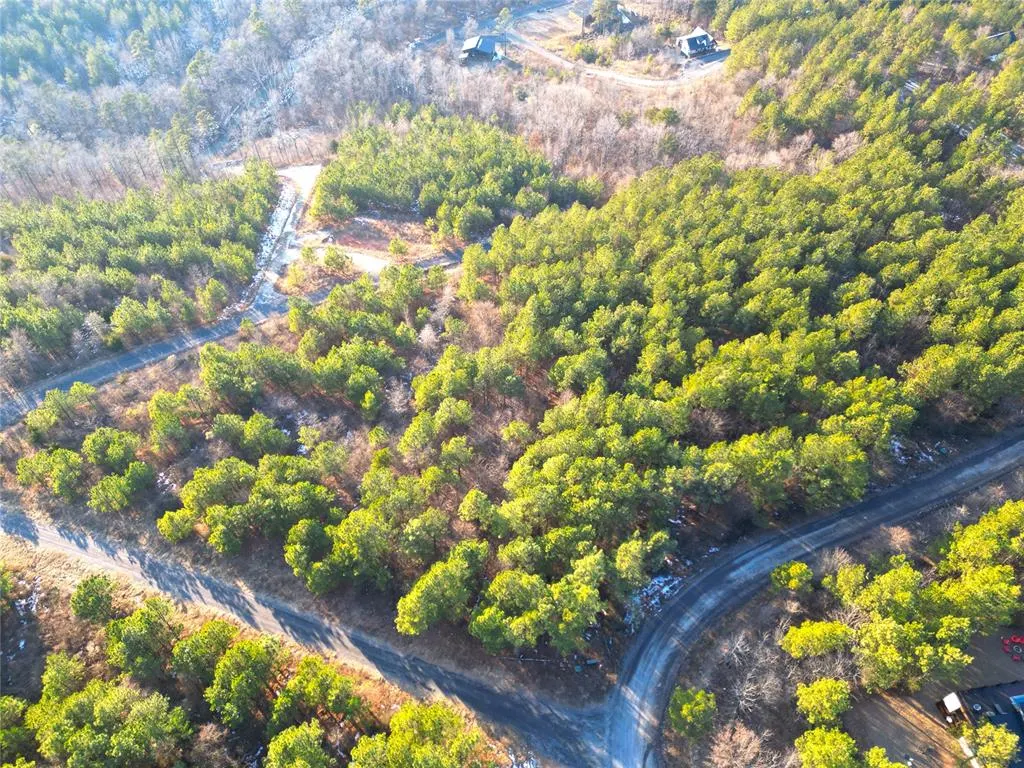 Photo 4 — 484 Lukfata Fork Trail, Broken Bow, OK 74728