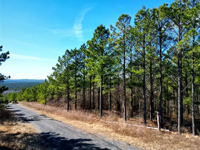 Photo 6 — 484 Lukfata Fork Trail, Broken Bow, OK 74728