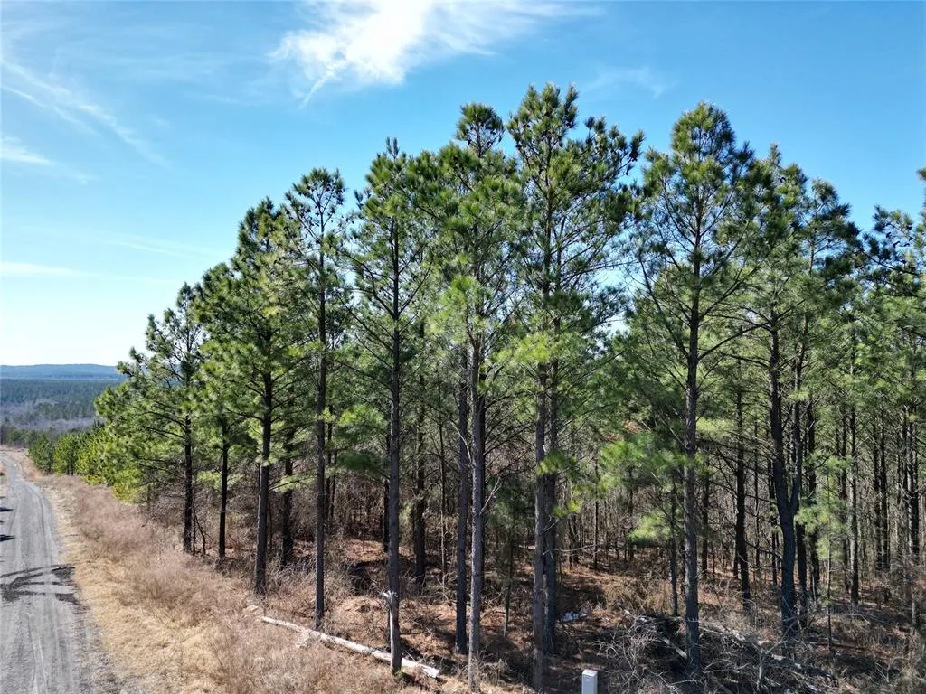 Photo 7 — 484 Lukfata Fork Trail, Broken Bow, OK 74728