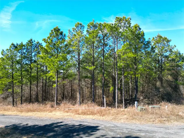 Photo 8 — 484 Lukfata Fork Trail, Broken Bow, OK 74728