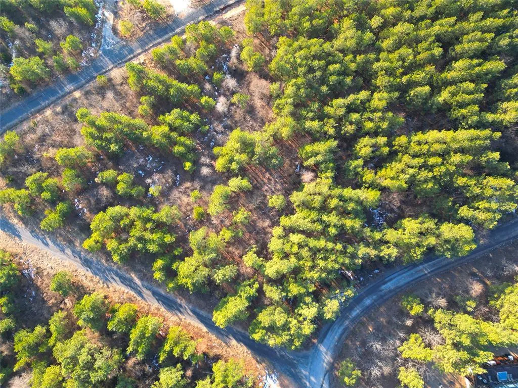 Photo 10 — 484 Lukfata Fork Trail, Broken Bow, OK 74728