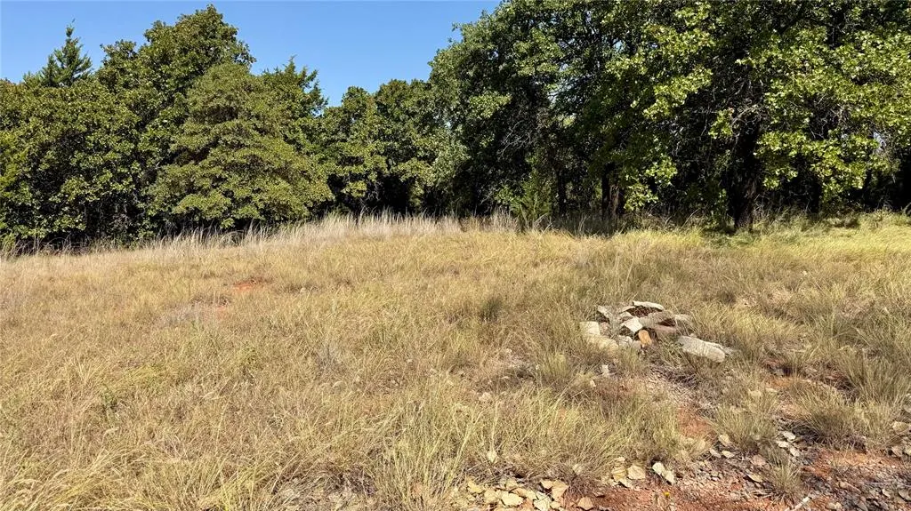 Photo 20 — 2424 County Road 1344 Road, Blanchard, OK 73010