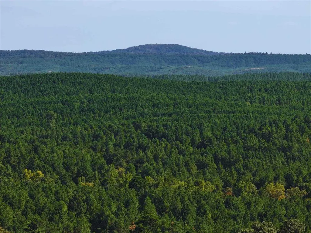 Photo 5 — 32 Wayward Pine Trl Trail, Broken Bow, OK 74728