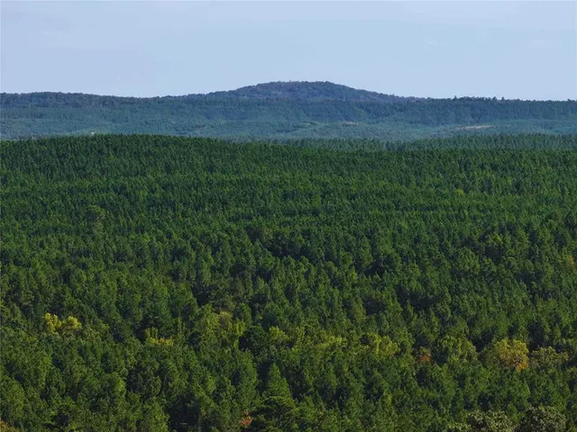 Photo 5 — 32 Wayward Pine Trl Trail, Broken Bow, OK 74728