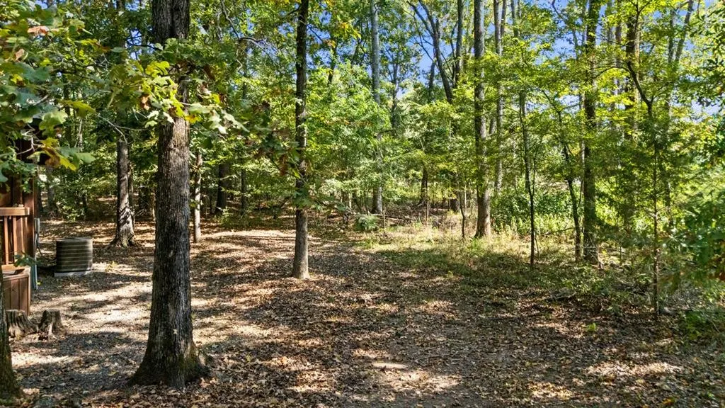 Photo 21 — 123 Alexis Lane, Broken Bow, OK 74728