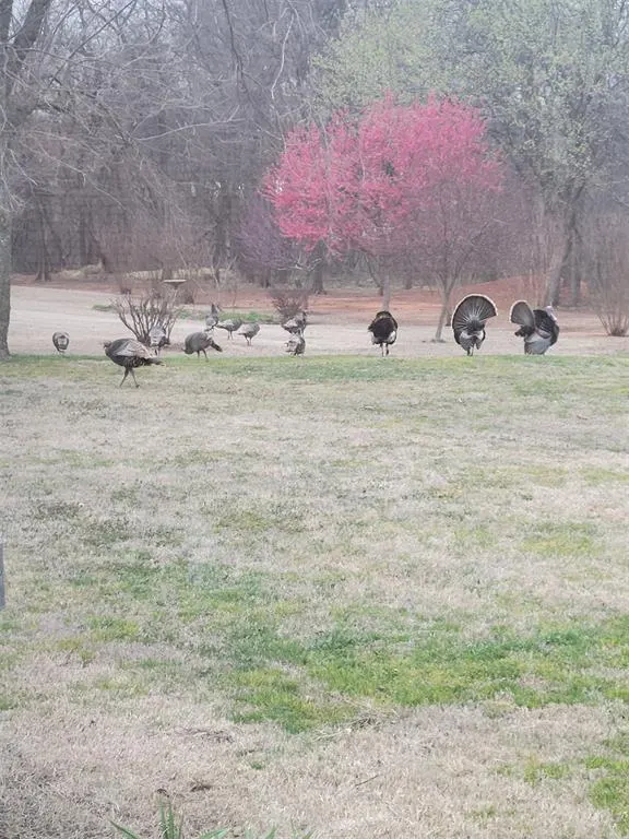 Photo 45 — 18775 308th Street, Norman, OK 73072