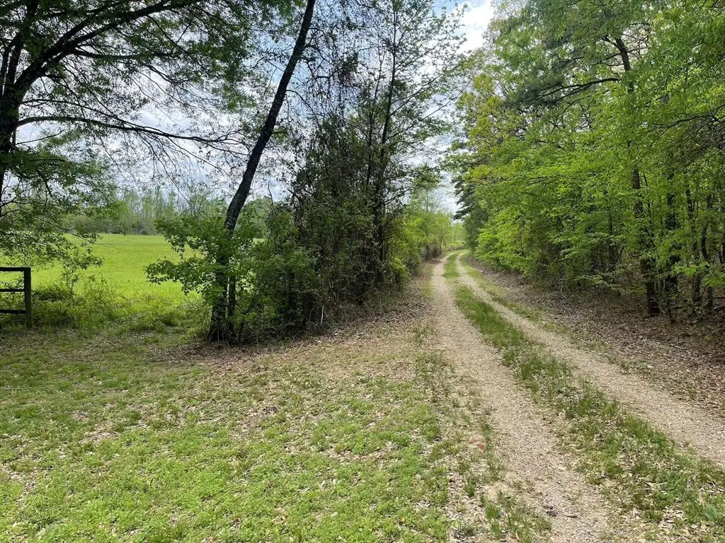Photo 9 — 260 Box Elder Lane, Broken Bow, OK 74728