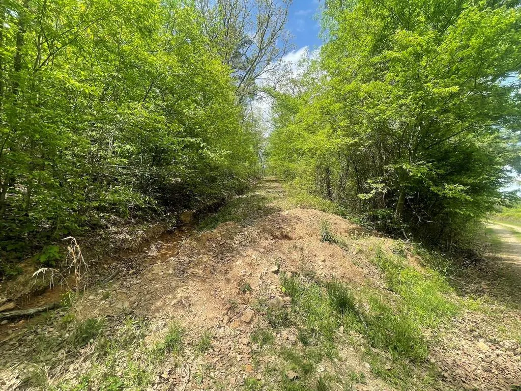 Photo 11 — 260 Box Elder Lane, Broken Bow, OK 74728