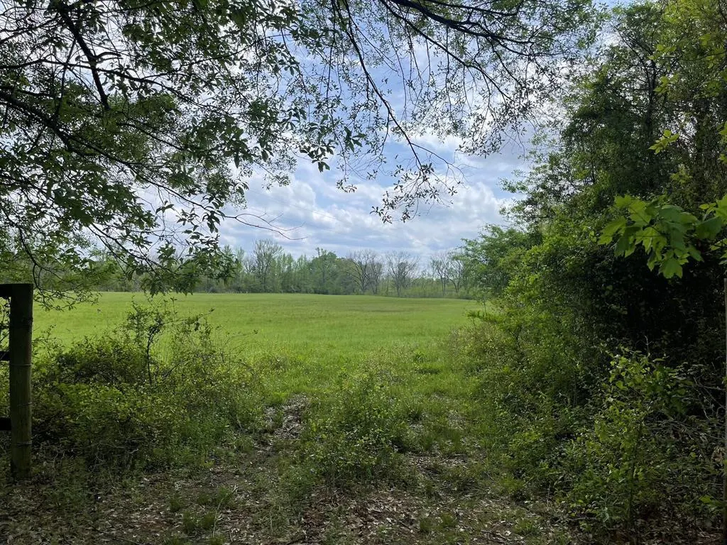 Photo 37 — 260 Box Elder Lane, Broken Bow, OK 74728