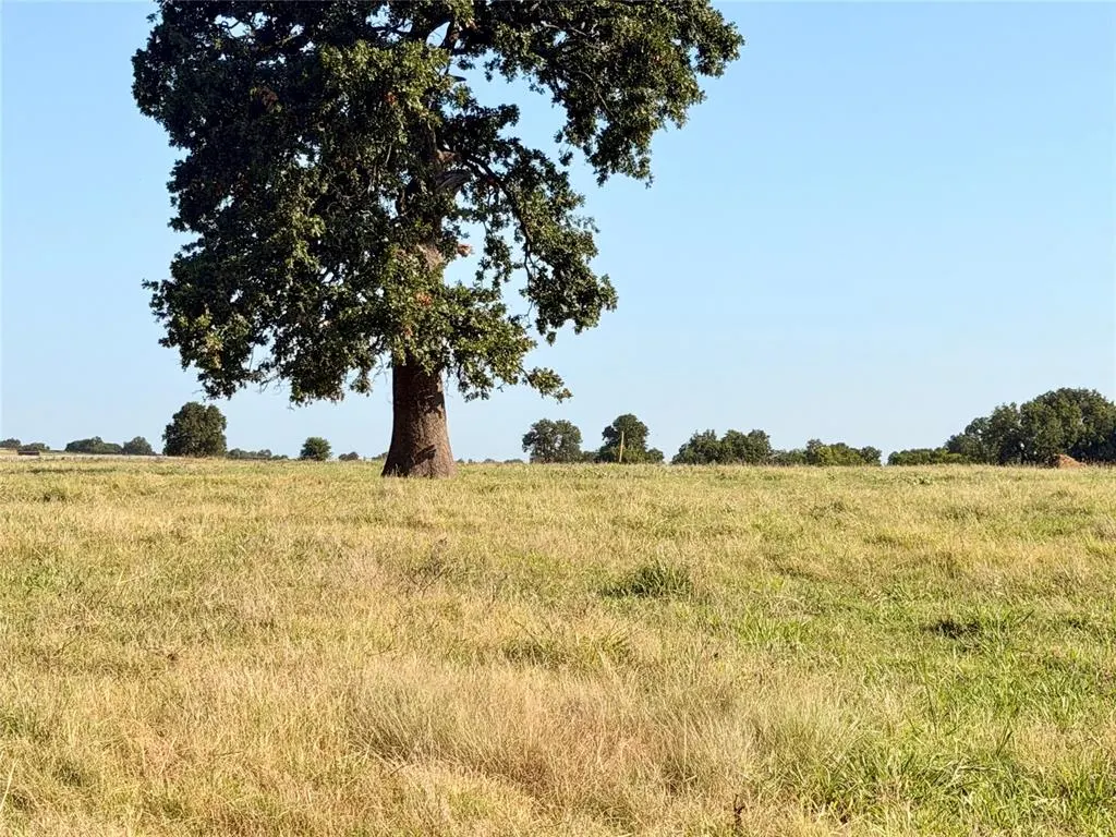 Photo 4 — E County Road 1610 Road, Pauls Valley, OK 73075