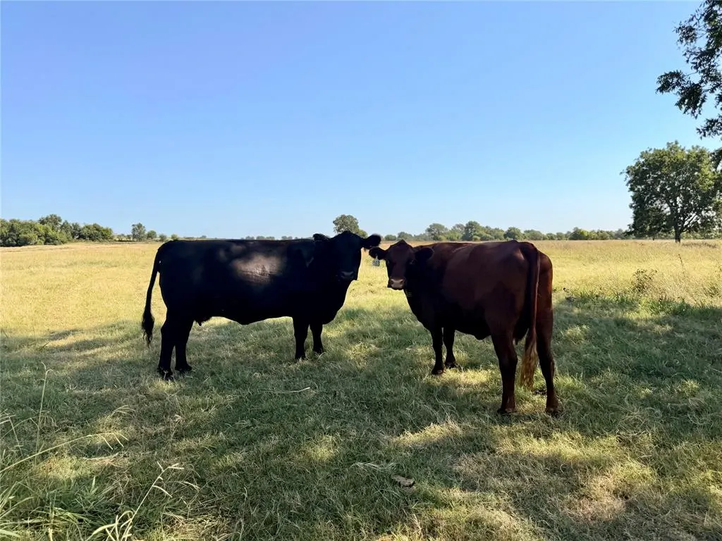 Photo 37 — E County Road 1610 Road, Pauls Valley, OK 73075