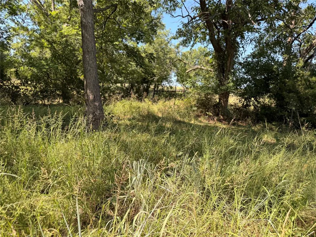Photo 42 — E County Road 1610 Road, Pauls Valley, OK 73075