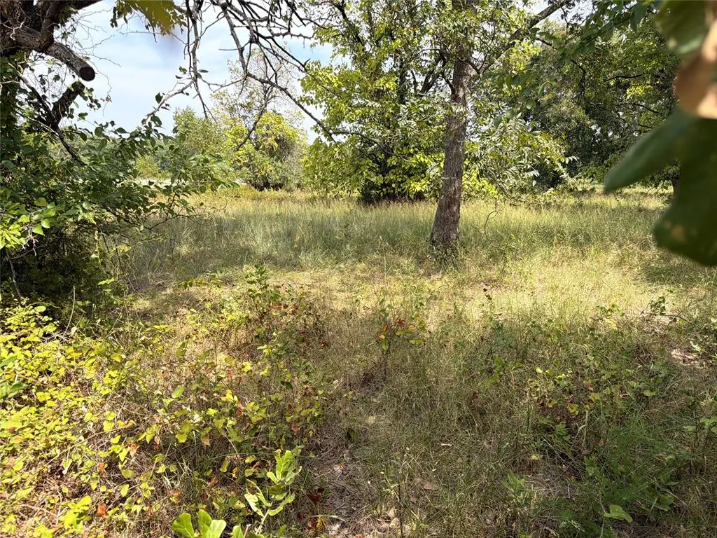 Photo 50 — E County Road 1610 Road, Pauls Valley, OK 73075