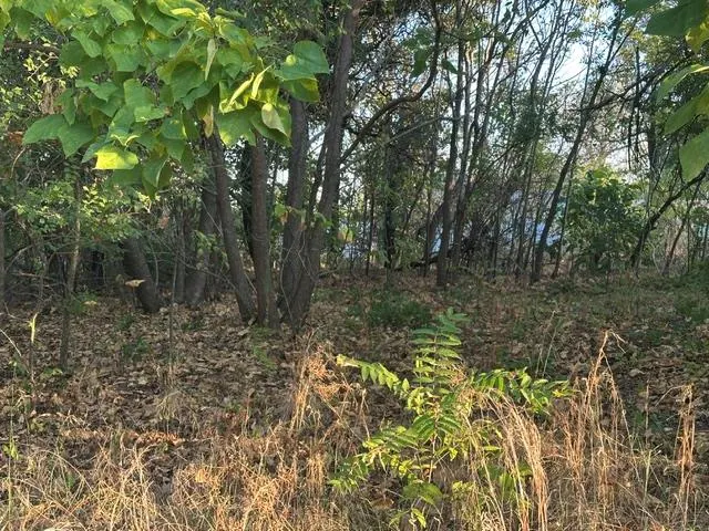 Photo 3 — NE 40th Street, Oklahoma City, OK 73084